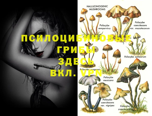 мдма Приозерск