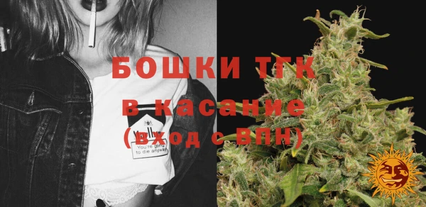 гашик Белокуриха