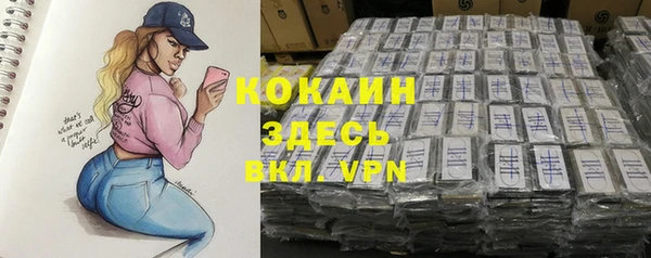 твердый Ростов