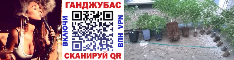 Бошки марихуана OG Kush  darknet состав  Семёнов 